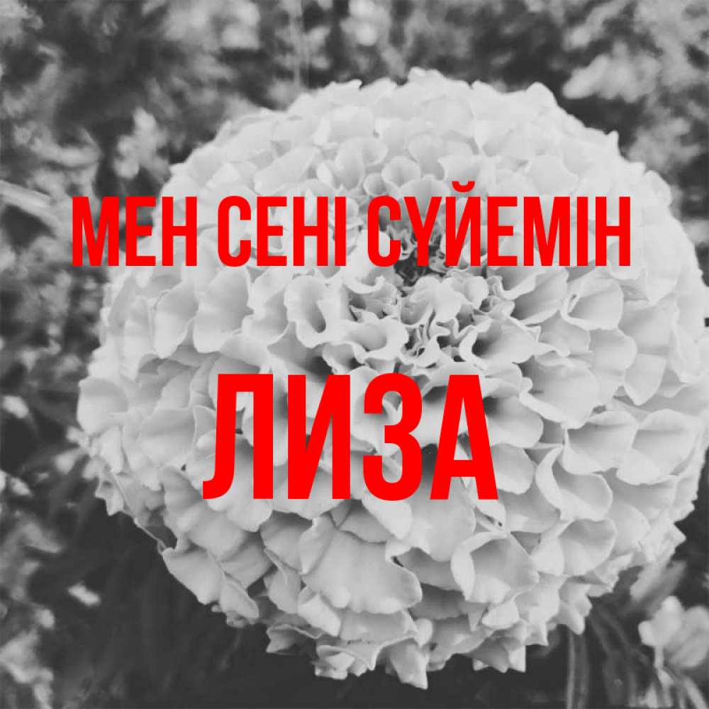 Күн сайын ашық хат с именем, Лиза Мен сені сүйемін подпись Онлайн тегін жүктеп алу тілектері бар керемет карта 