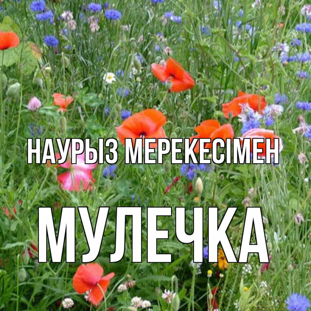 Күн сайын ашық хат с именем, Мулечка Наурыз мерекесімен праздник весны наурыз супер открытка Онлайн тегін жүктеп алу тілектері бар керемет карта 