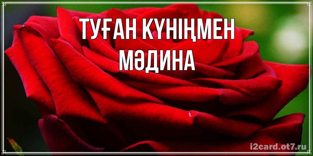 Күн сайын ашық хат с именем, МӘДИНА Туған күніңмен розочка очень красивая Онлайн тегін жүктеп алу тілектері бар керемет карта 