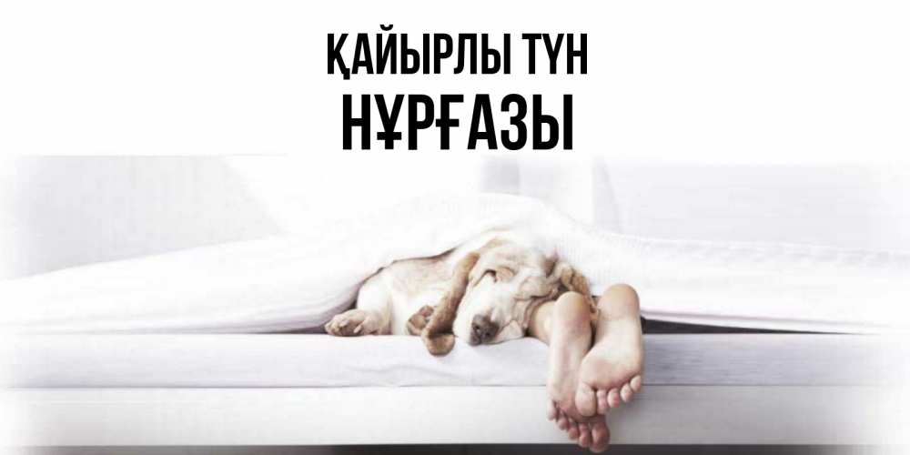 Күн сайын ашық хат с именем, НҰРҒАЗЫ Қайырлы түн кровать с собакой пожелание сладких снов и спокойной ночи Онлайн тегін жүктеп алу тілектері бар керемет карта 