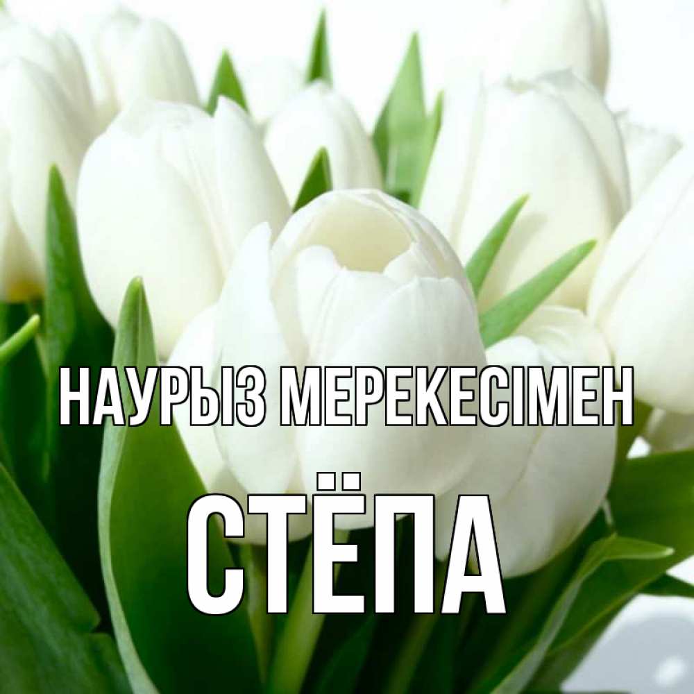 Күн сайын ашық хат с именем, Стёпа Наурыз мерекесімен цветы Онлайн тегін жүктеп алу тілектері бар керемет карта 