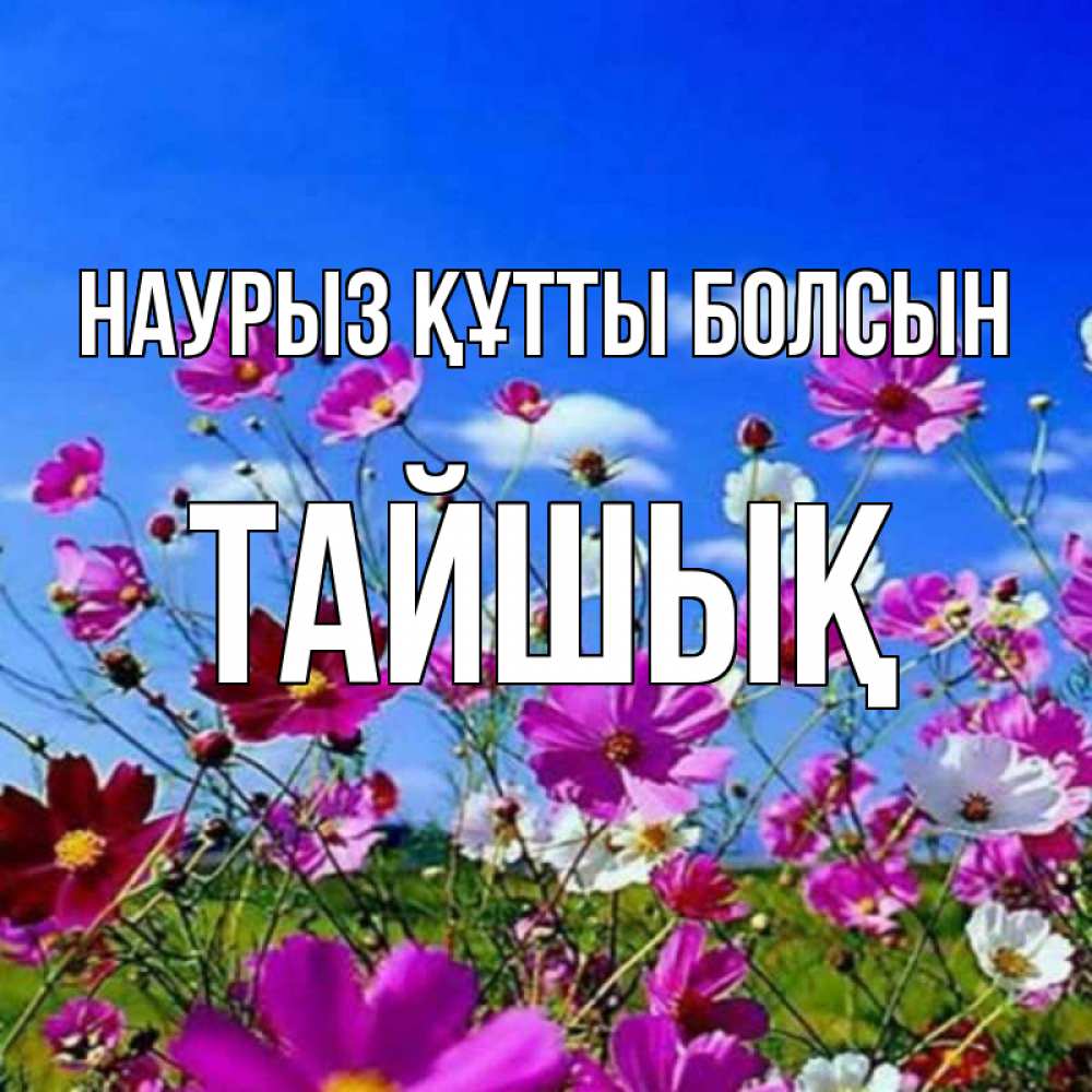 Күн сайын ашық хат с именем, ТАЙШЫҚ Наурыз құтты болсын цветы Онлайн тегін жүктеп алу тілектері бар керемет карта 