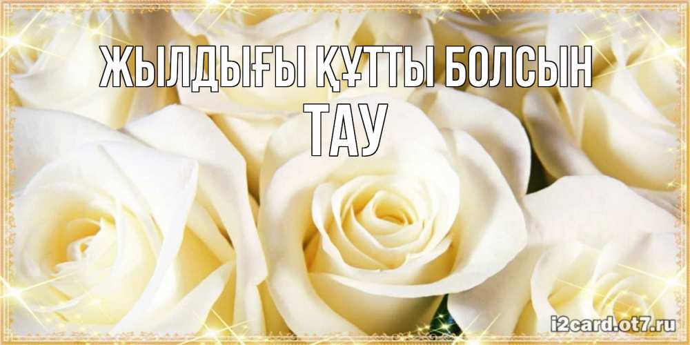 Күн сайын ашық хат с именем, ТАУ Жылдығы құтты болсын розочки белого цвета на открытке Онлайн тегін жүктеп алу тілектері бар керемет карта 