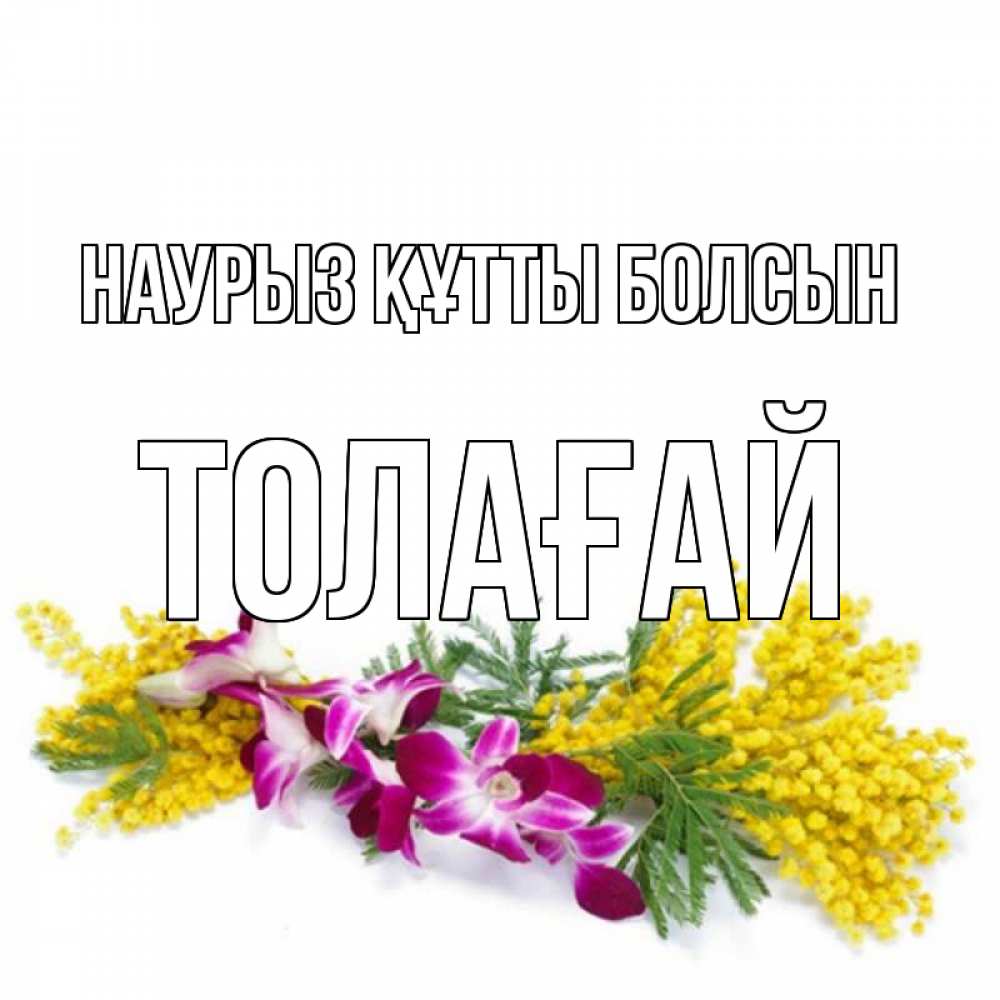 Күн сайын ашық хат с именем, ТОЛАҒАЙ Наурыз құтты болсын открытка  наурыз с цветами  1 Онлайн тегін жүктеп алу тілектері бар керемет карта 