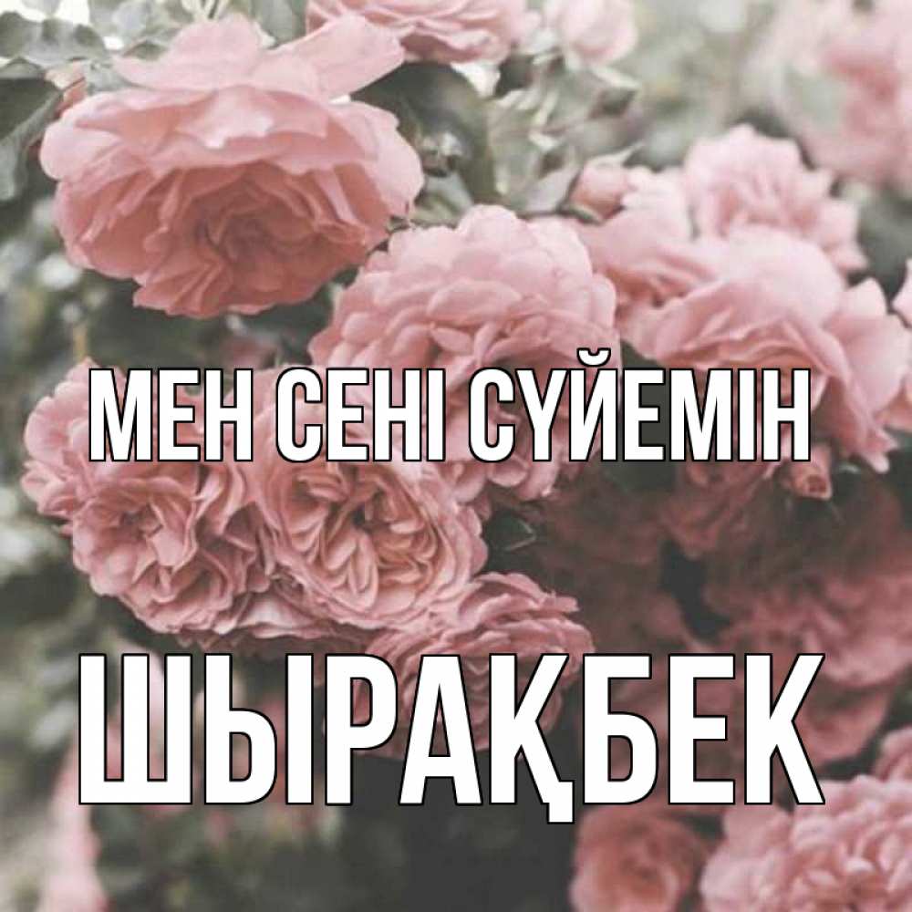 Күн сайын ашық хат с именем, ШЫРАҚБЕК Мен сені сүйемін розы 3 Онлайн тегін жүктеп алу тілектері бар керемет карта 