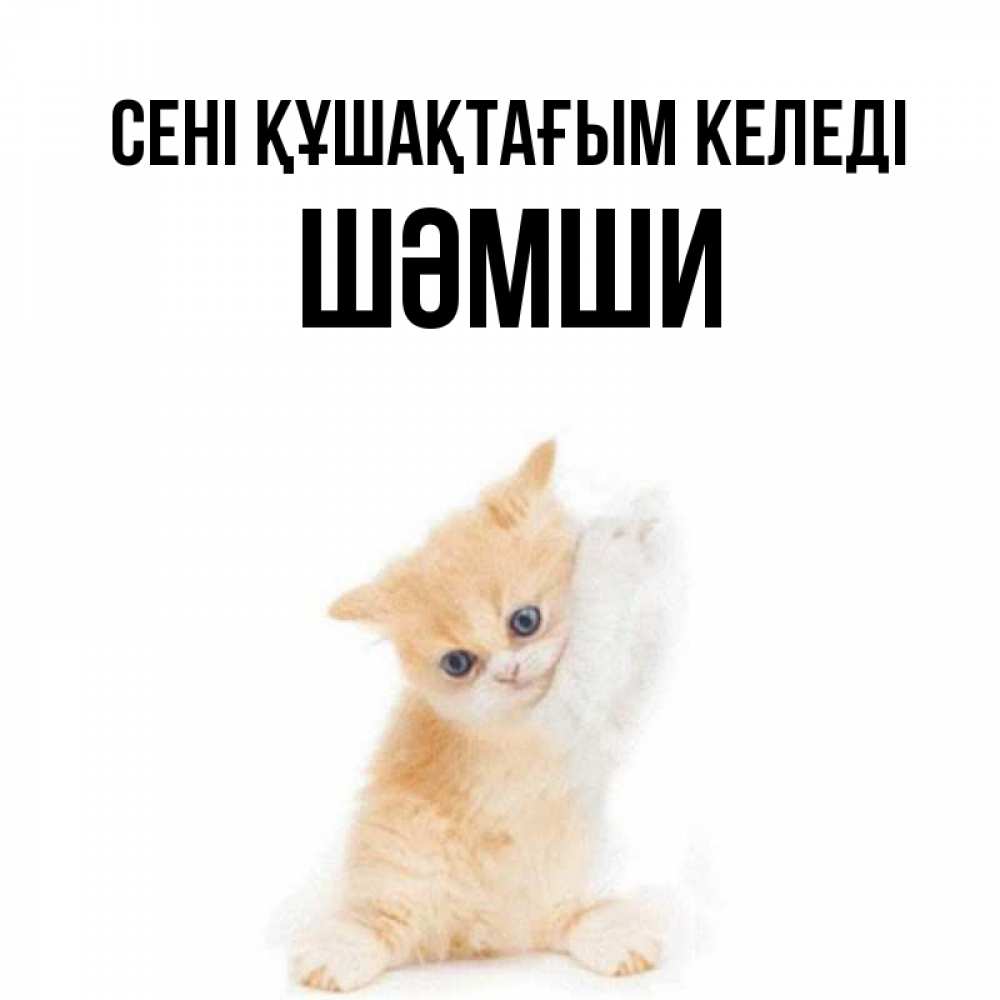 Күн сайын ашық хат с именем, ШӘМШИ сені құшақтағым келеді я хочу очень скорее обнимаешек Онлайн тегін жүктеп алу тілектері бар керемет карта 