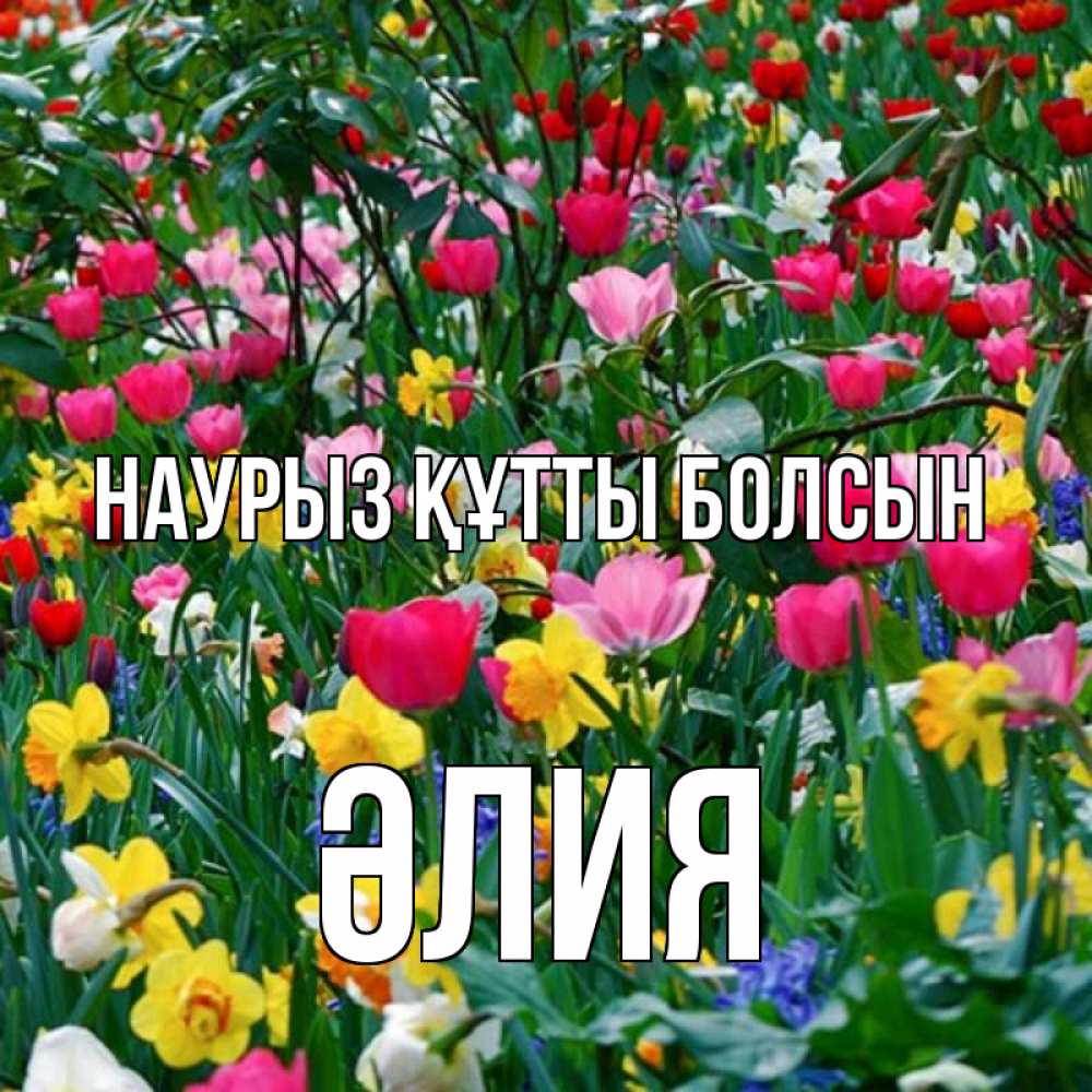 Күн сайын ашық хат с именем, ӘЛИЯ Наурыз құтты болсын с наурызом поздравления для женщины Онлайн тегін жүктеп алу тілектері бар керемет карта 