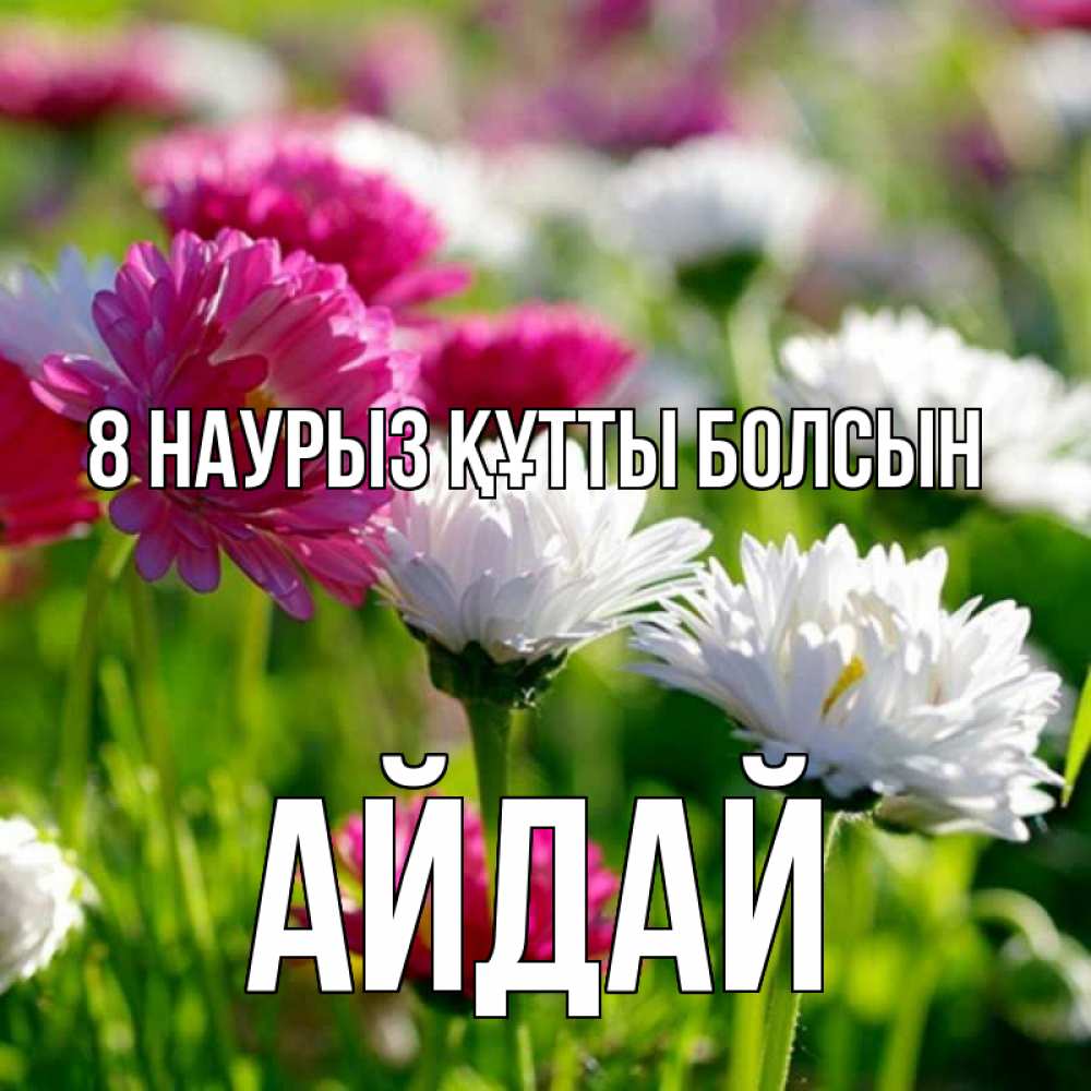Күн сайын ашық хат с именем, АЙДАЙ 8 наурыз құтты болсын международный женский день 1 Онлайн тегін жүктеп алу тілектері бар керемет карта 