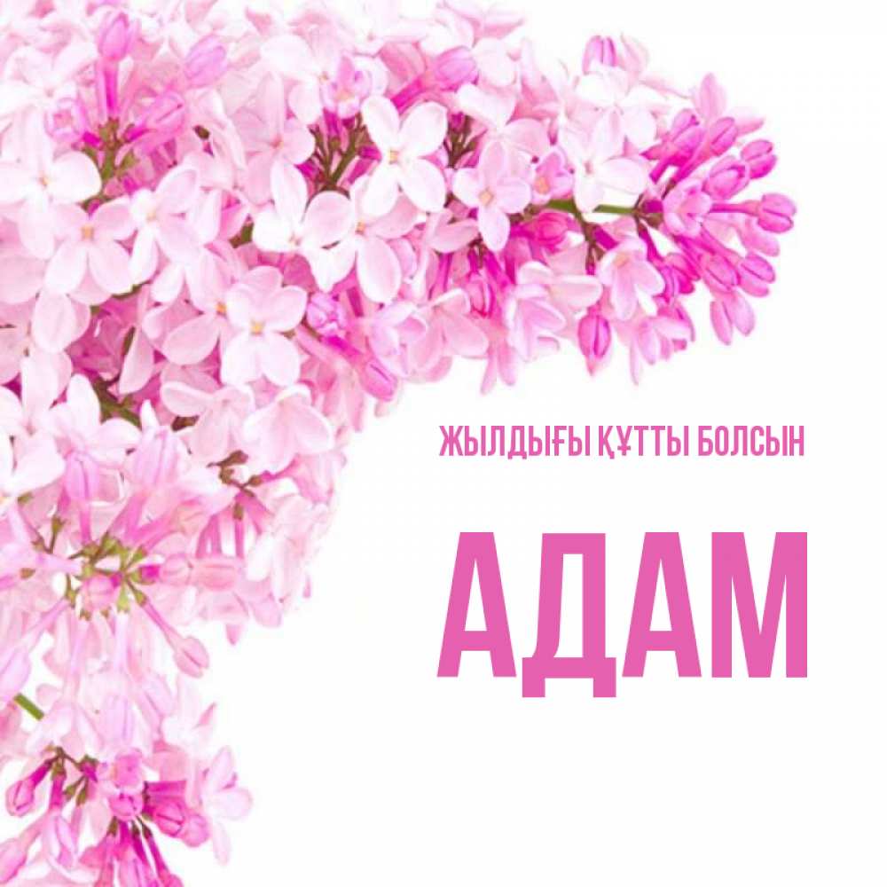 Күн сайын ашық хат с именем, Адам Жылдығы құтты болсын Сирень на белом фоне Онлайн тегін жүктеп алу тілектері бар керемет карта 