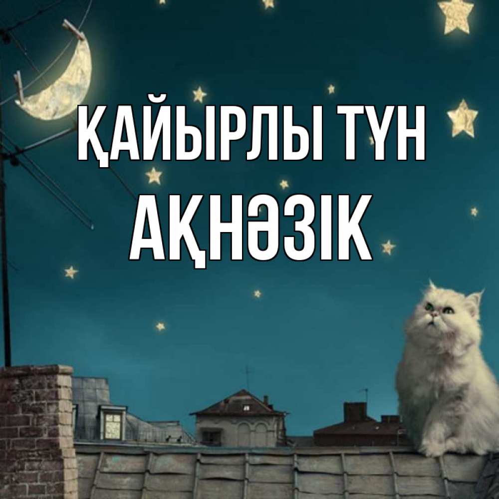 Күн сайын ашық хат с именем, АҚНӘЗІК Қайырлы түн белый кот сидит на крыше Онлайн тегін жүктеп алу тілектері бар керемет карта 