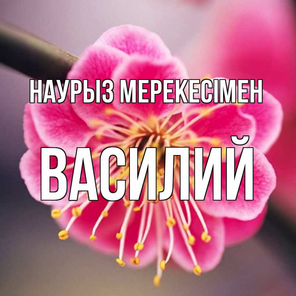 Күн сайын ашық хат с именем, Василий Наурыз мерекесімен цветы Онлайн тегін жүктеп алу тілектері бар керемет карта 