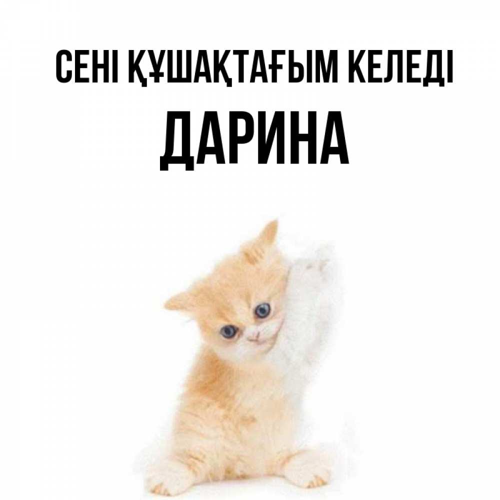 Күн сайын ашық хат с именем, Дарина сені құшақтағым келеді я хочу очень скорее обнимаешек Онлайн тегін жүктеп алу тілектері бар керемет карта 