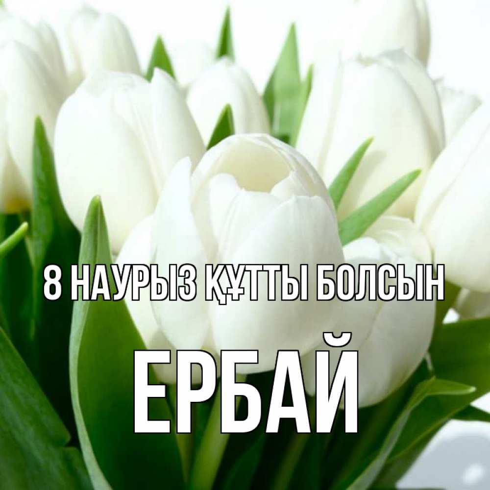 Күн сайын ашық хат с именем, Ербай 8 наурыз құтты болсын цветы Онлайн тегін жүктеп алу тілектері бар керемет карта 