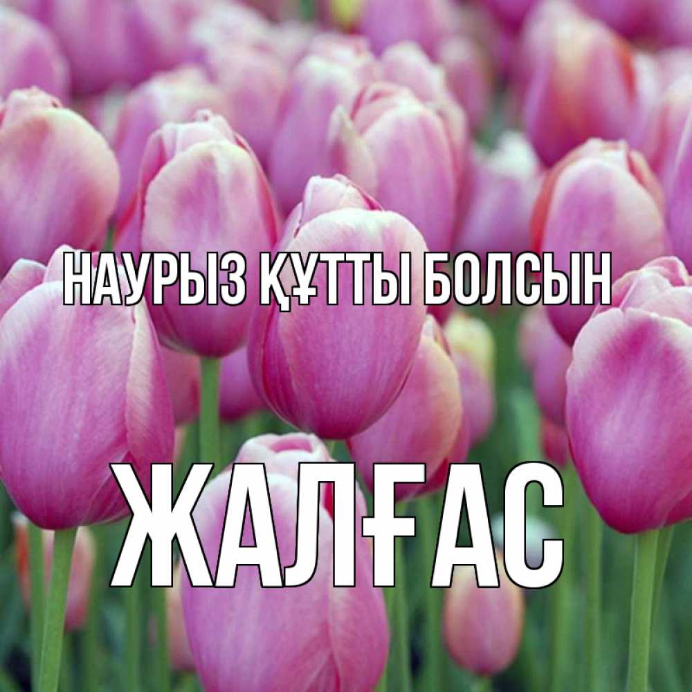 Күн сайын ашық хат с именем, Жалғас Наурыз құтты болсын на наурыз  день 3 Онлайн тегін жүктеп алу тілектері бар керемет карта 