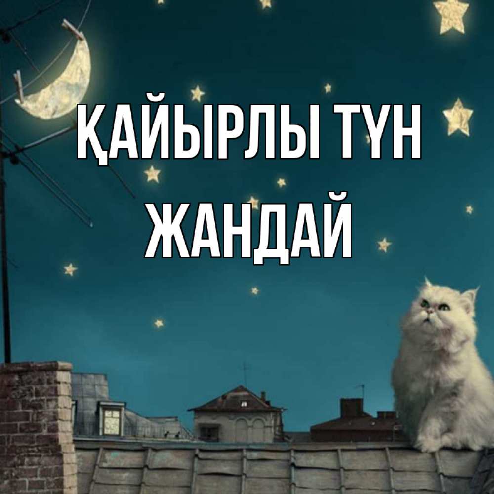 Күн сайын ашық хат с именем, Жандай Қайырлы түн белый кот сидит на крыше Онлайн тегін жүктеп алу тілектері бар керемет карта 