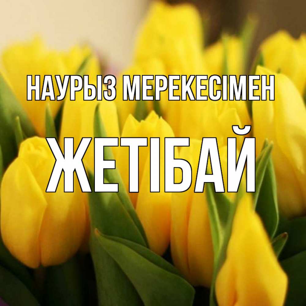 Күн сайын ашық хат с именем, Жетібай Наурыз мерекесімен цветы Онлайн тегін жүктеп алу тілектері бар керемет карта 