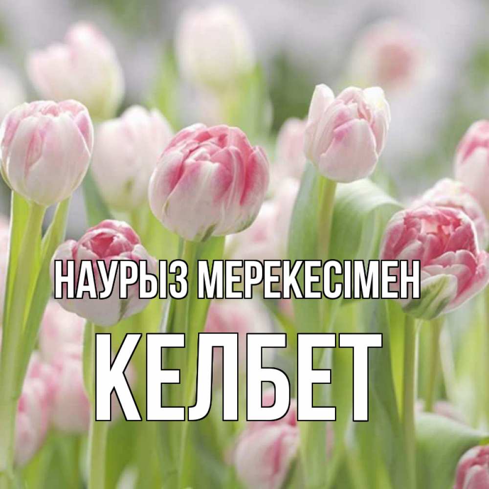 Күн сайын ашық хат с именем, КЕЛБЕТ Наурыз мерекесімен цветы Онлайн тегін жүктеп алу тілектері бар керемет карта 