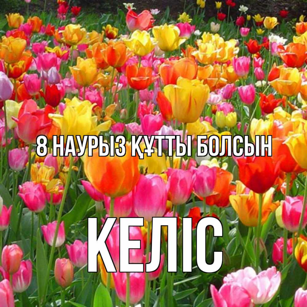 Күн сайын ашық хат с именем, Келіс 8 наурыз құтты болсын на международный женский день Онлайн тегін жүктеп алу тілектері бар керемет карта 