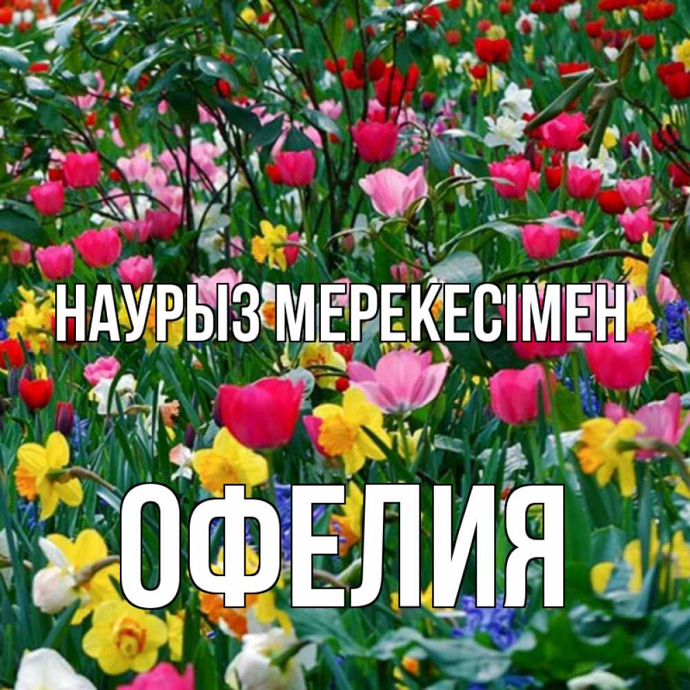 Күн сайын ашық хат с именем, Офелия Наурыз мерекесімен с наурызом праздником весны поздравления для женщины Онлайн тегін жүктеп алу тілектері бар керемет карта 