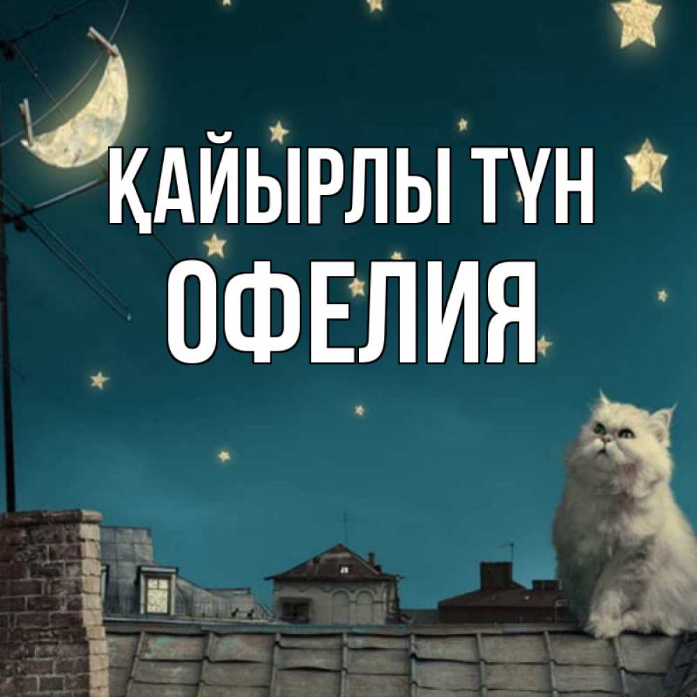 Күн сайын ашық хат с именем, Офелия Қайырлы түн белый кот сидит на крыше Онлайн тегін жүктеп алу тілектері бар керемет карта 