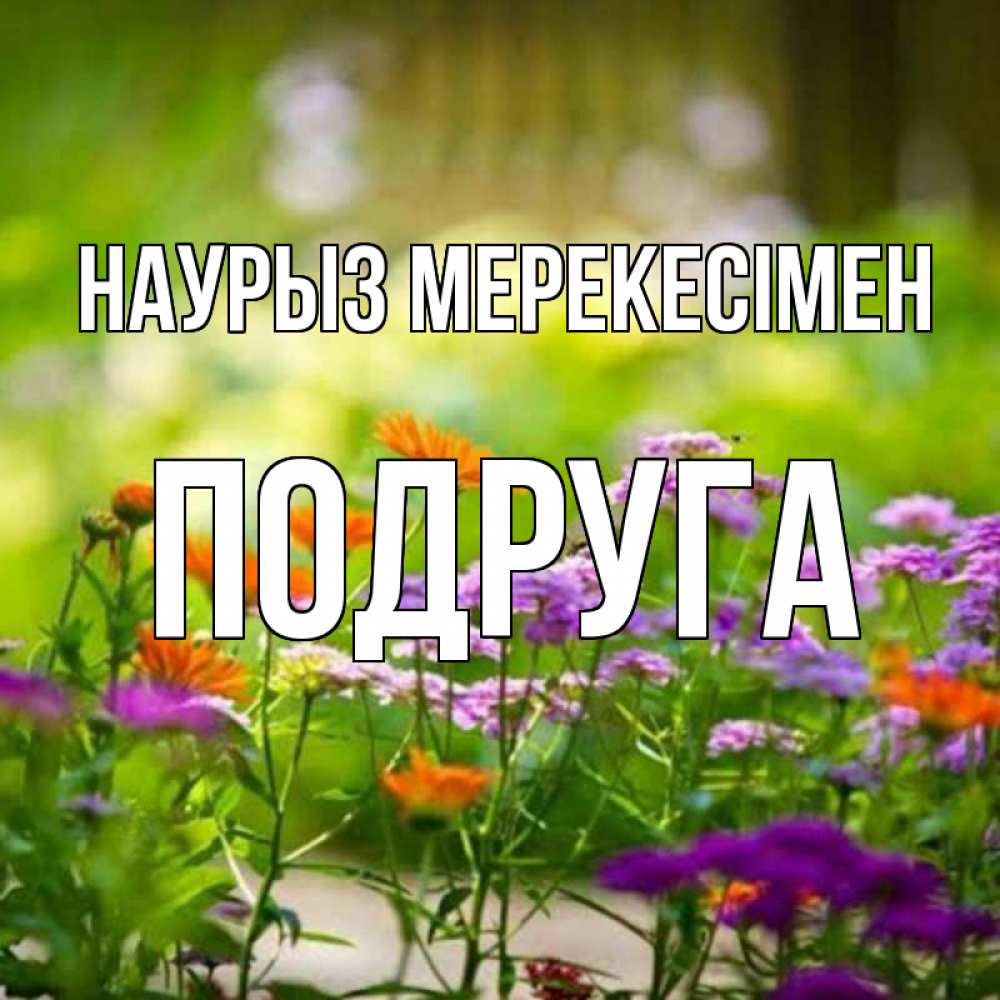 Күн сайын ашық хат с именем, Подруга Наурыз мерекесімен цветы Онлайн тегін жүктеп алу тілектері бар керемет карта 