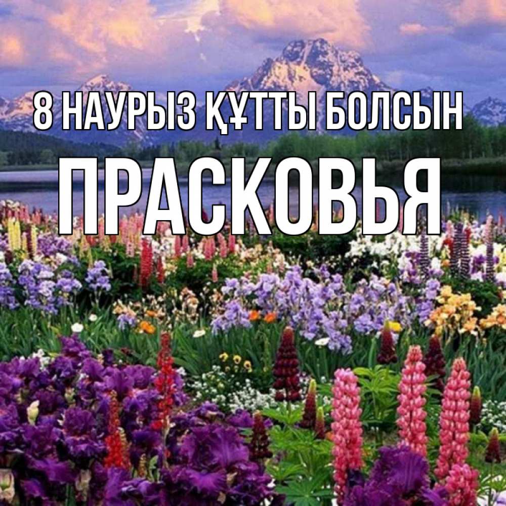Күн сайын ашық хат с именем, Прасковья 8 наурыз құтты болсын международный женский день Онлайн тегін жүктеп алу тілектері бар керемет карта 
