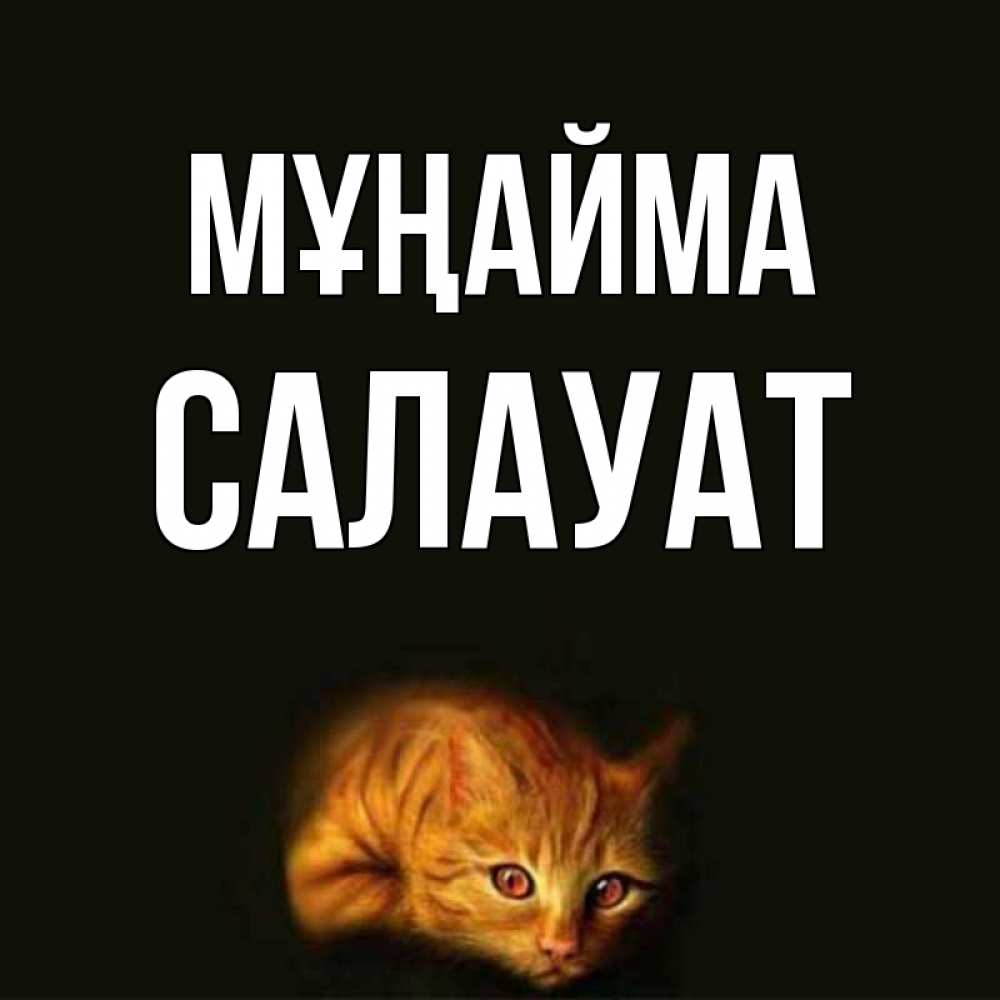Күн сайын ашық хат с именем, САЛАУАТ Мұңайма лежащий кот в темноте Онлайн тегін жүктеп алу тілектері бар керемет карта 