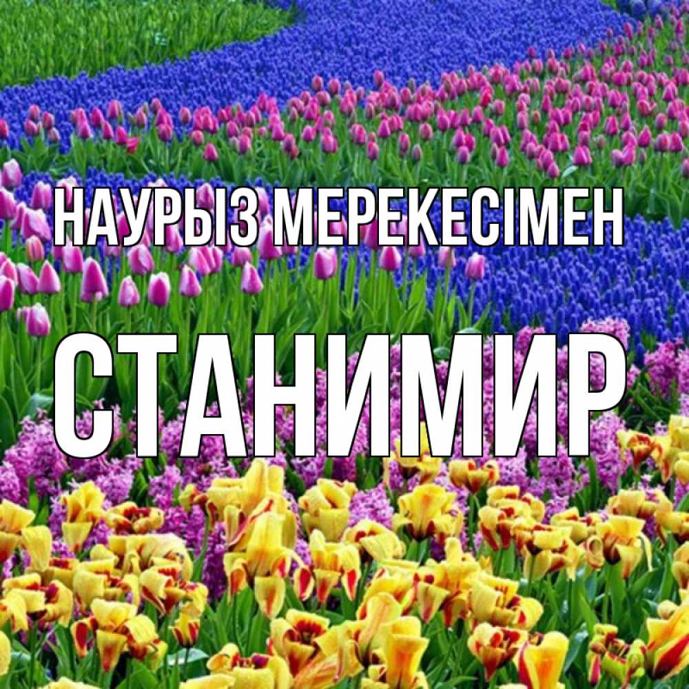 Күн сайын ашық хат с именем, Станимир Наурыз мерекесімен цветы Онлайн тегін жүктеп алу тілектері бар керемет карта 