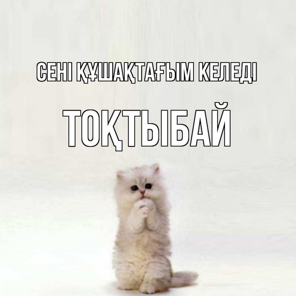 Күн сайын ашық хат с именем, ТОҚТЫБАЙ сені құшақтағым келеді открытки с креативными подписями Онлайн тегін жүктеп алу тілектері бар керемет карта 