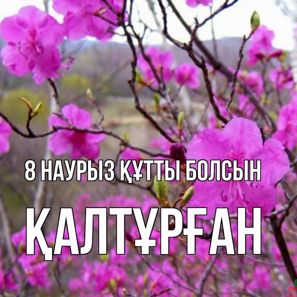 Күн сайын ашық хат с именем, ҚАЛТҰРҒАН 8 наурыз құтты болсын международный женский день Онлайн тегін жүктеп алу тілектері бар керемет карта 
