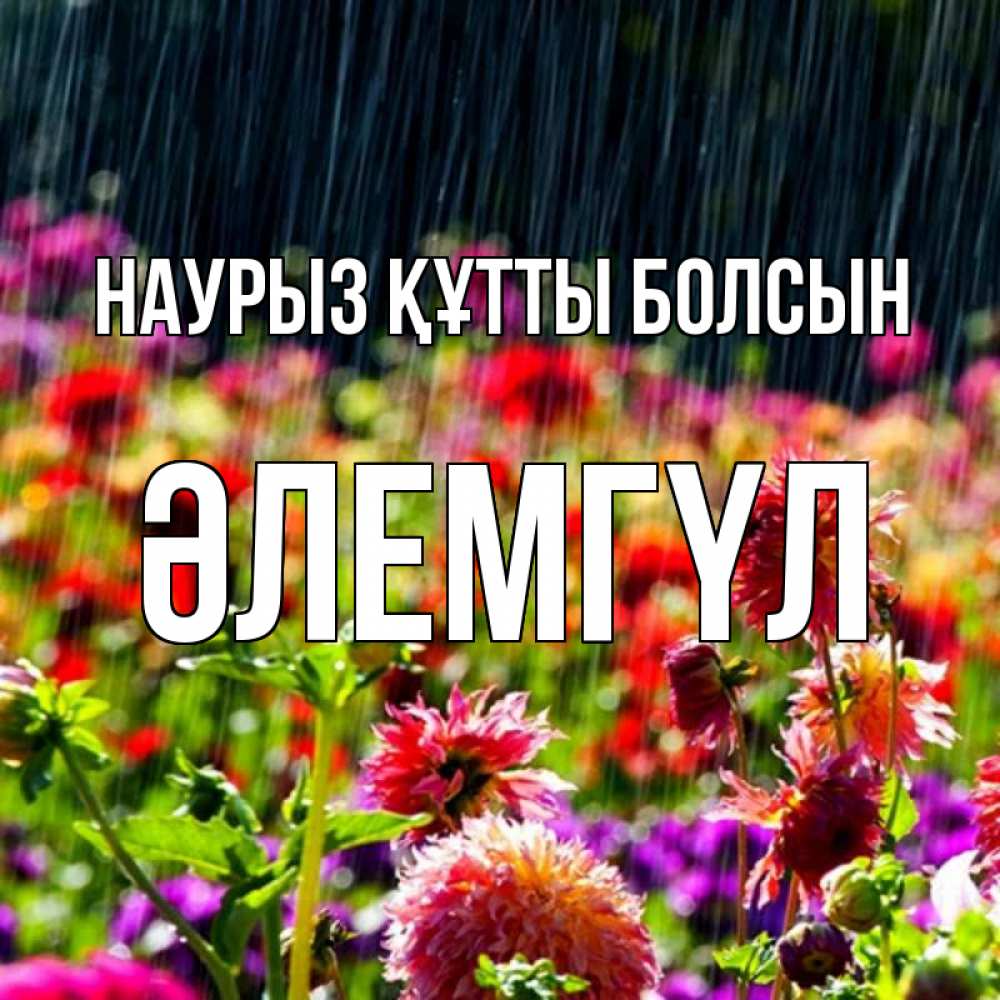 Күн сайын ашық хат с именем, ӘЛЕМГҮЛ Наурыз құтты болсын цветы под дождиком к наурызу Онлайн тегін жүктеп алу тілектері бар керемет карта 