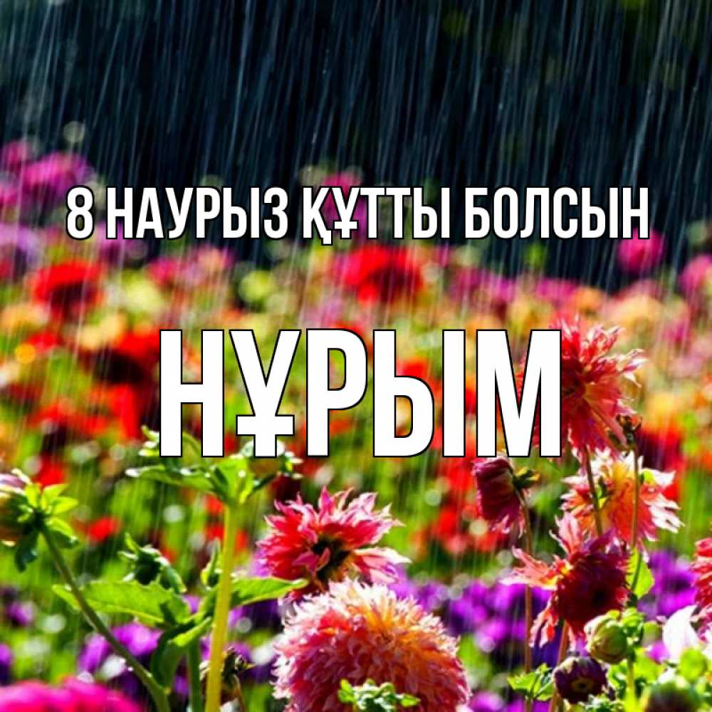 Күн сайын ашық хат с именем, Нұрым 8 наурыз құтты болсын цветы под дождиком к международному женскому дню Онлайн тегін жүктеп алу тілектері бар керемет карта 