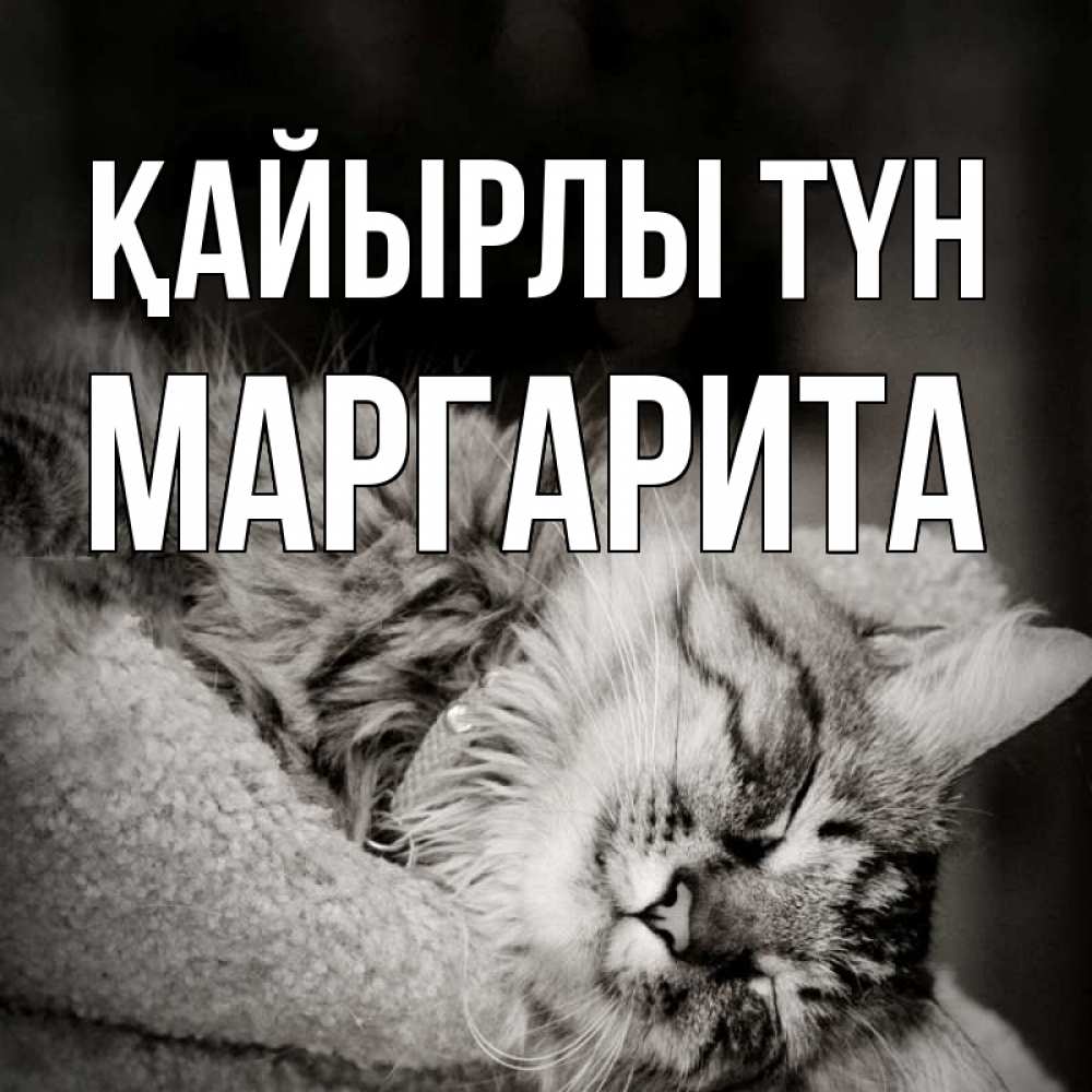 Күн сайын ашық хат с именем, Маргарита Қайырлы түн котярик пушистый Онлайн тегін жүктеп алу тілектері бар керемет карта 