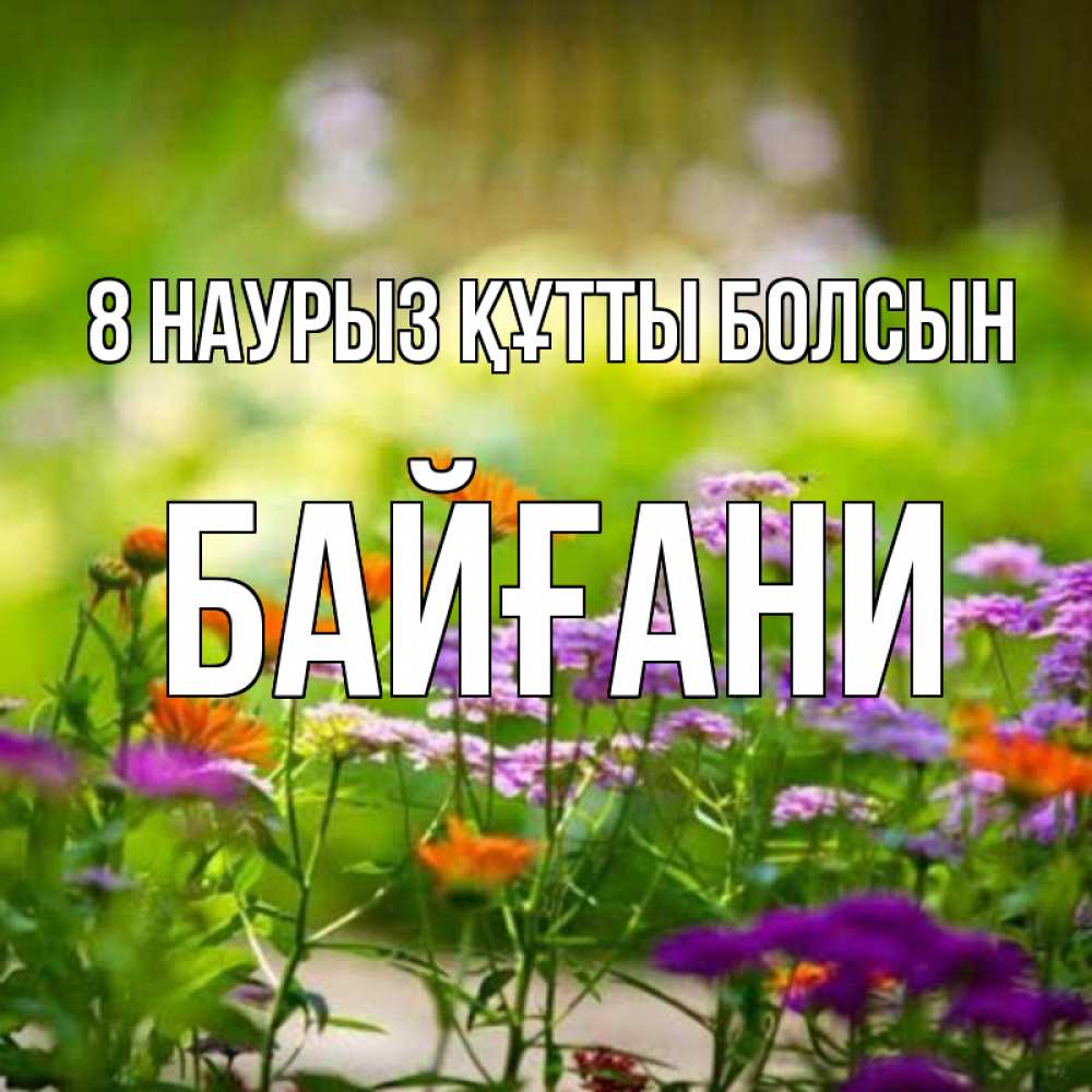 Күн сайын ашық хат с именем, Байғани 8 наурыз құтты болсын цветы Онлайн тегін жүктеп алу тілектері бар керемет карта 