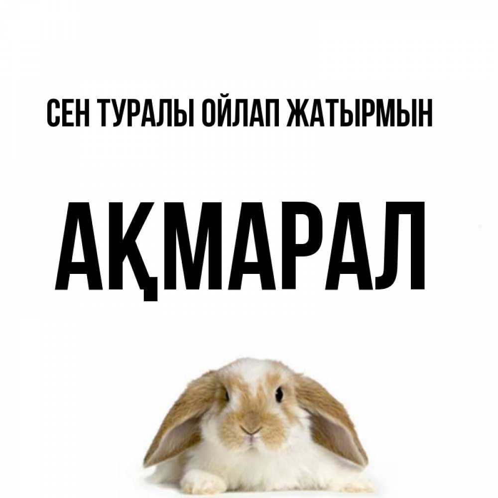 Күн сайын ашық хат с именем, АҚМАРАЛ Сен туралы ойлап жатырмын подписать своими руками онлайн Онлайн тегін жүктеп алу тілектері бар керемет карта 