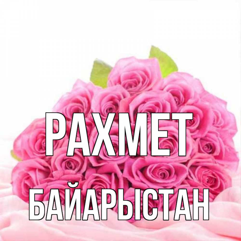 Күн сайын ашық хат с именем, Байарыстан рахмет розовые розы с подписью Онлайн тегін жүктеп алу тілектері бар керемет карта 