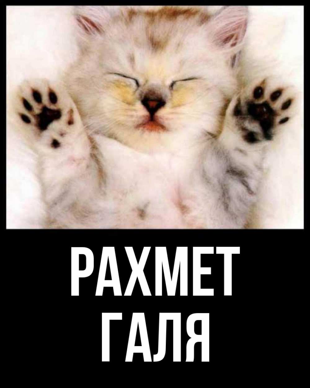 Күн сайын ашық хат с именем, Галя рахмет маленький котенок Онлайн тегін жүктеп алу тілектері бар керемет карта 