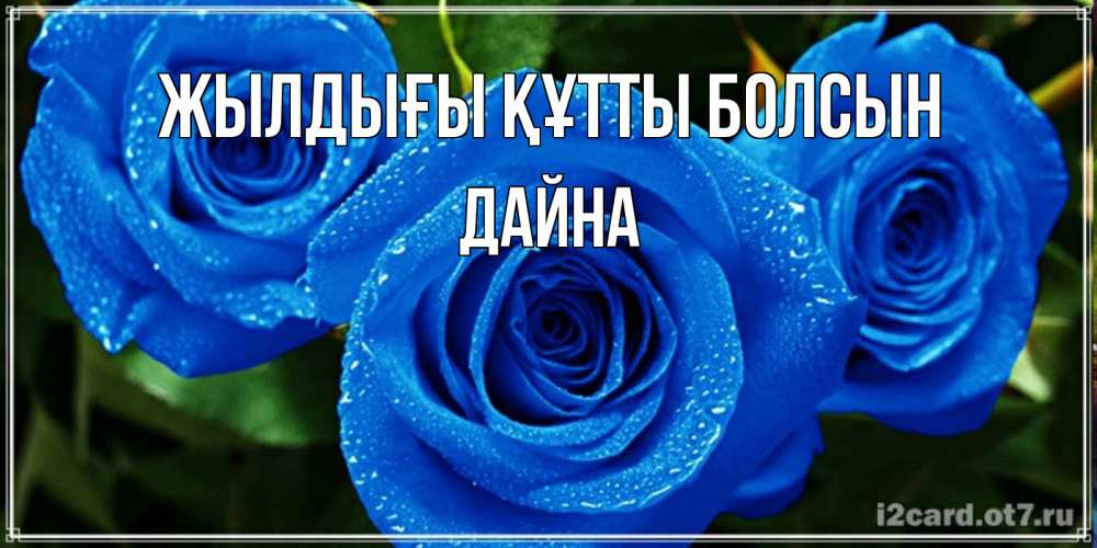 Күн сайын ашық хат с именем, Дайна Жылдығы құтты болсын розы с синим цветом Онлайн тегін жүктеп алу тілектері бар керемет карта 