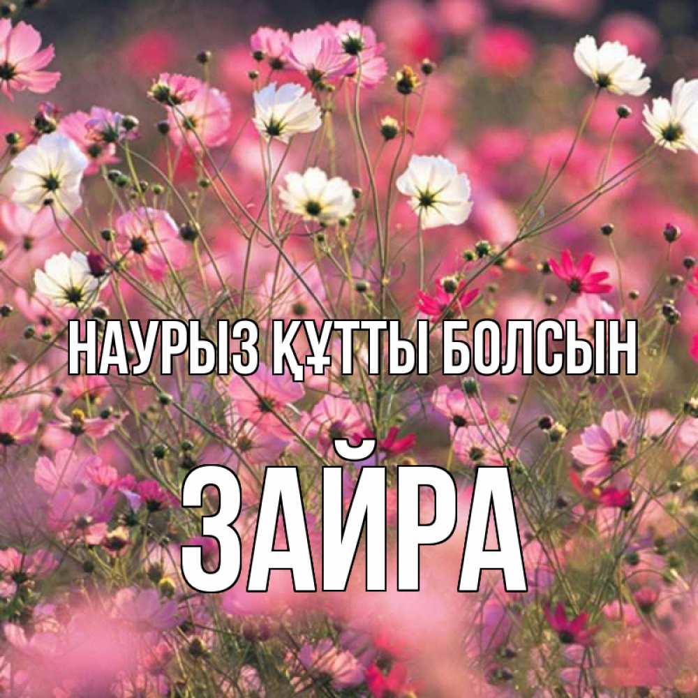 Күн сайын ашық хат с именем, ЗАЙРА Наурыз құтты болсын красиво 1 Онлайн тегін жүктеп алу тілектері бар керемет карта 