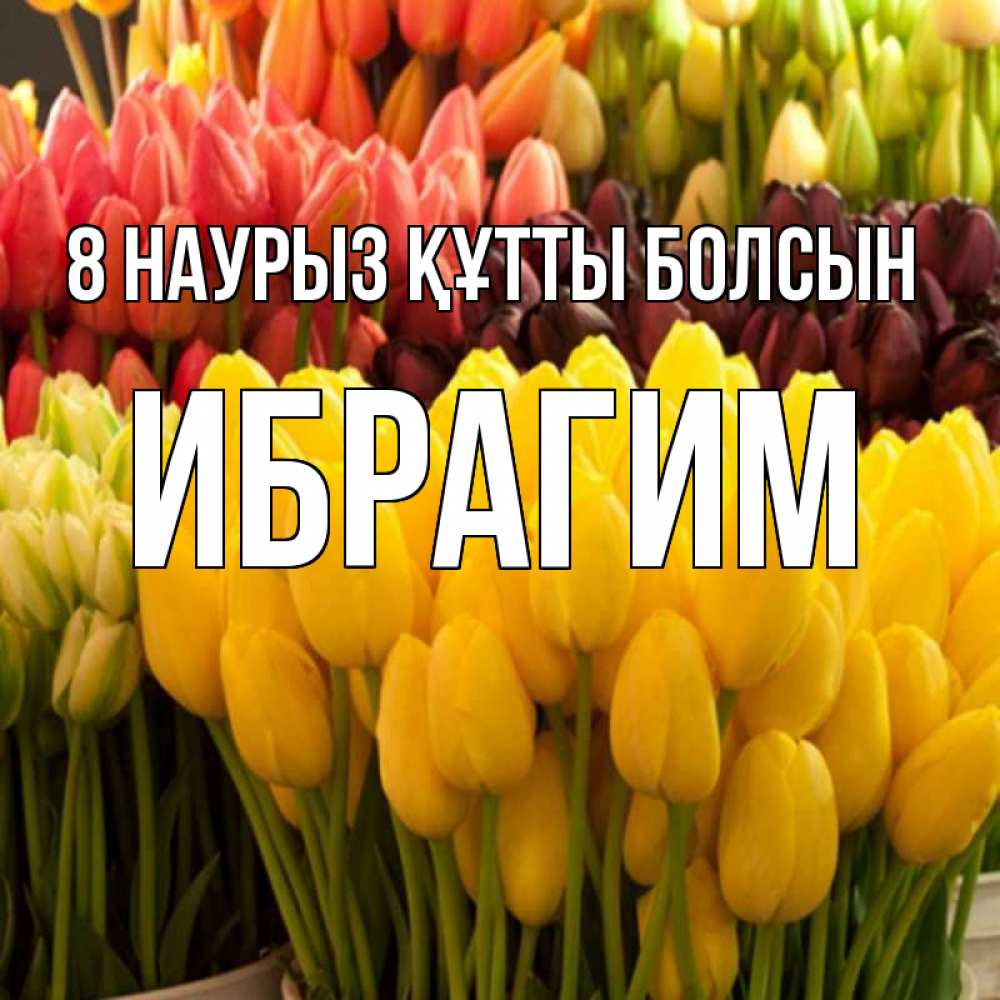 Күн сайын ашық хат с именем, Ибрагим 8 наурыз құтты болсын цветы Онлайн тегін жүктеп алу тілектері бар керемет карта 