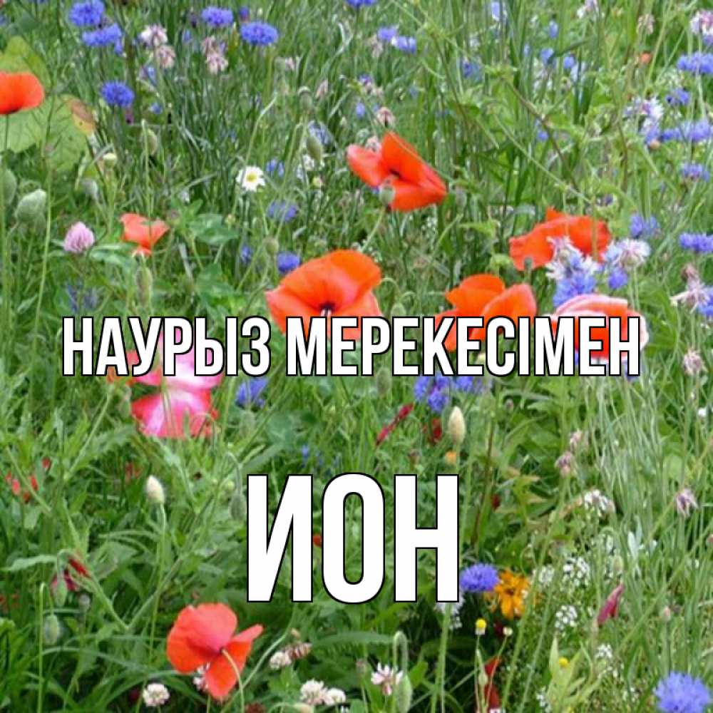 Күн сайын ашық хат с именем, Ион Наурыз мерекесімен праздник весны наурыз супер открытка Онлайн тегін жүктеп алу тілектері бар керемет карта 