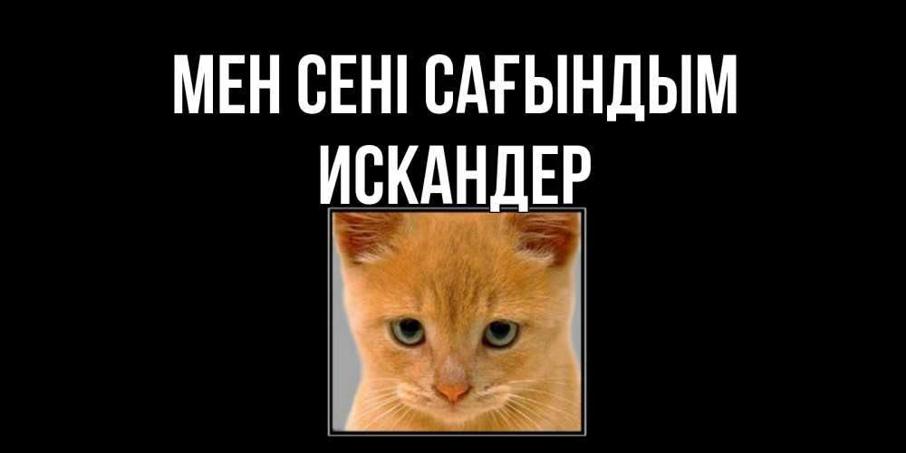 Күн сайын ашық хат с именем, Искандер Мен сені сағындым открытки рыжий котенок скучает по тебе Онлайн тегін жүктеп алу тілектері бар керемет карта 