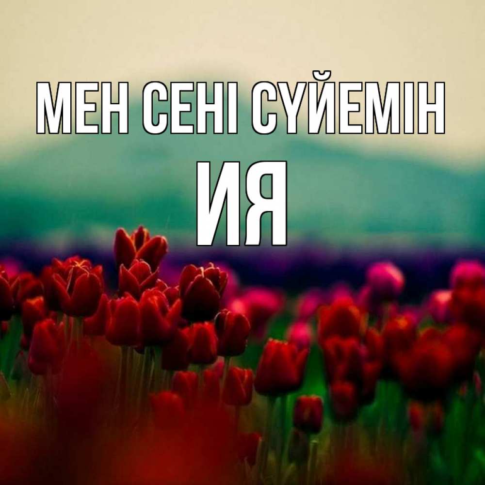 Күн сайын ашық хат с именем, Ия Мен сені сүйемін тюльпаны 4 Онлайн тегін жүктеп алу тілектері бар керемет карта 
