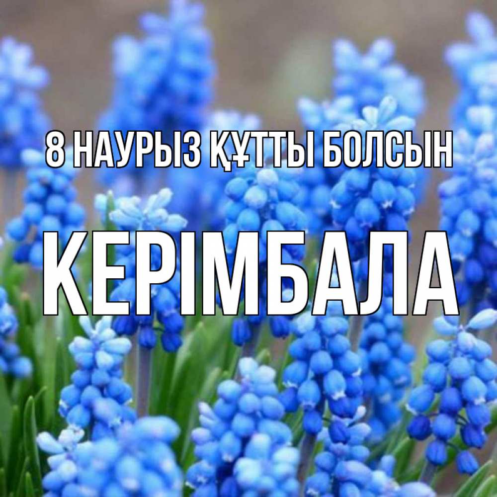Күн сайын ашық хат с именем, КЕРІМБАЛА 8 наурыз құтты болсын Поздравительная открытка для женщин с цветами на праздничную дату Онлайн тегін жүктеп алу тілектері бар керемет карта 