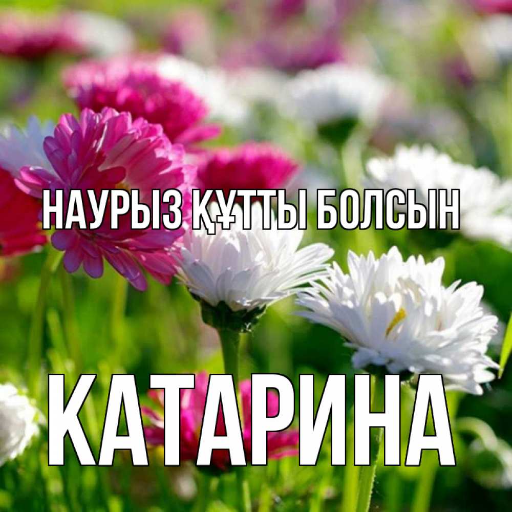 Күн сайын ашық хат с именем, Катарина Наурыз құтты болсын наурыз Онлайн тегін жүктеп алу тілектері бар керемет карта 