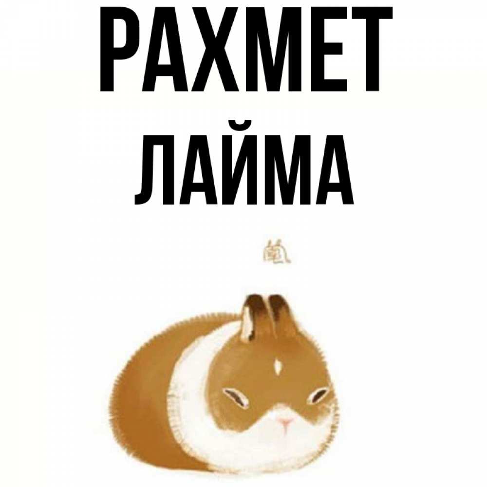 Күн сайын ашық хат с именем, Лайма рахмет коричнево белый домашний питомец Онлайн тегін жүктеп алу тілектері бар керемет карта 