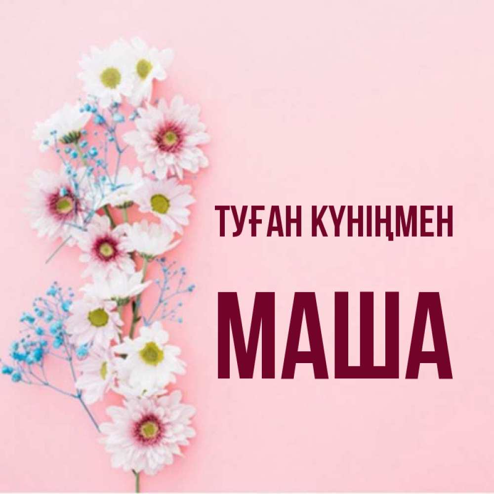Күн сайын ашық хат с именем, Маша Туған күніңмен Родная моя с днем рождения тебя картинка с цветами белыми и голубыми Онлайн тегін жүктеп алу тілектері бар керемет карта 