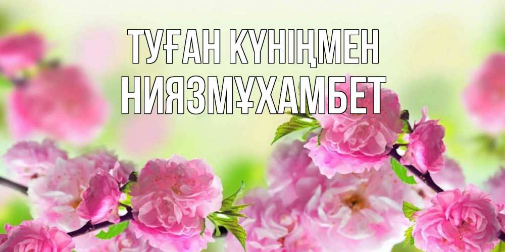 Күн сайын ашық хат с именем, НИЯЗМҰХАМБЕТ Туған күніңмен веточки с цветками Онлайн тегін жүктеп алу тілектері бар керемет карта 