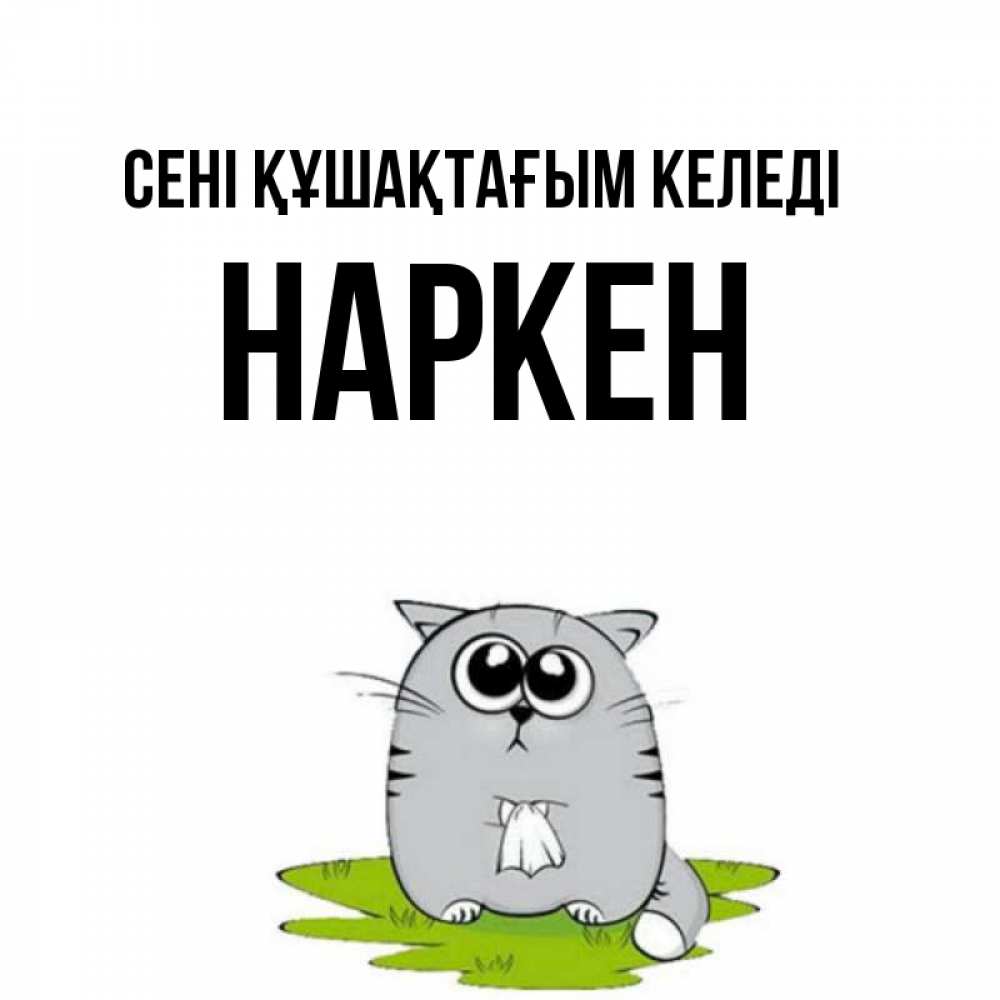 Күн сайын ашық хат с именем, Наркен сені құшақтағым келеді котик теребит платочек сидя на травке Онлайн тегін жүктеп алу тілектері бар керемет карта 