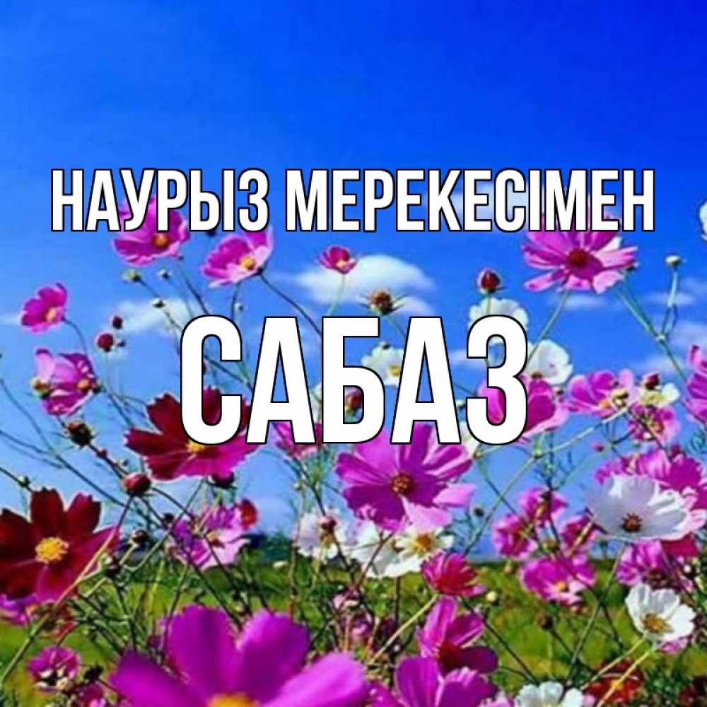 Күн сайын ашық хат с именем, САБАЗ Наурыз мерекесімен цветы Онлайн тегін жүктеп алу тілектері бар керемет карта 